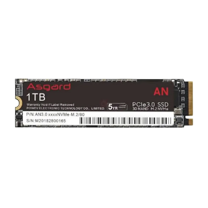 SSD Asgard AN3