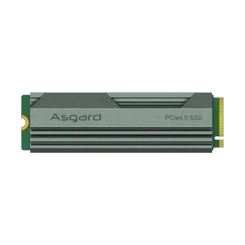 SSD Asgard AN4
