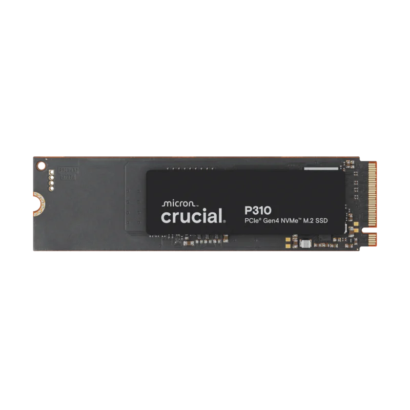SSD Crucial P310