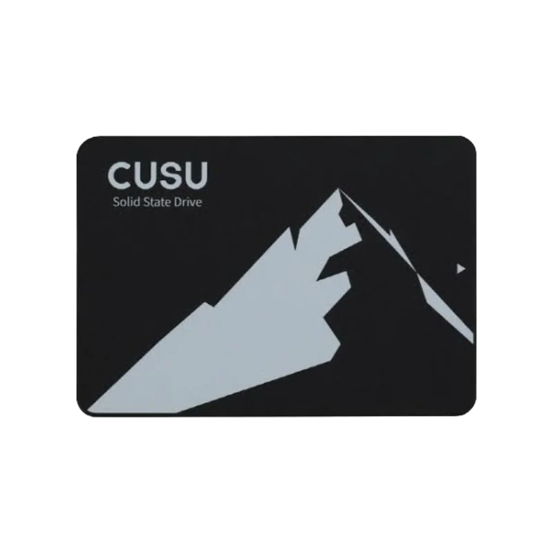 SSD CUSU C300