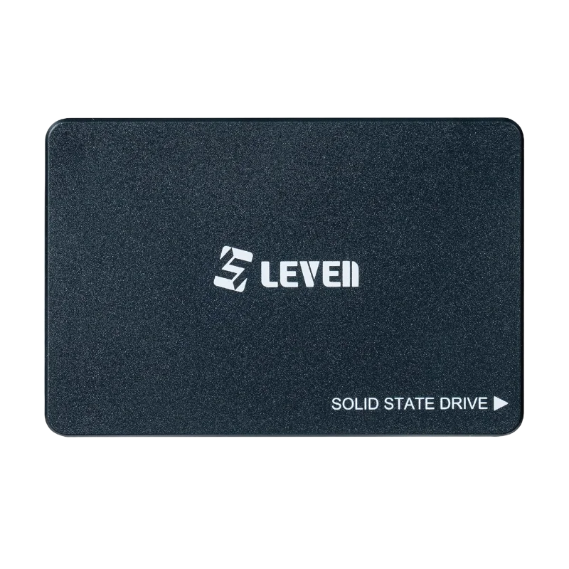 SSD LEVEN JS600