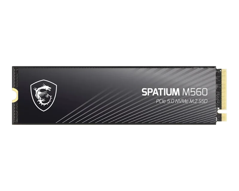 MSI SPATIUM M560 PRO